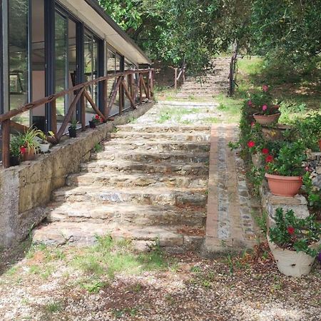 Agriturismo La Focazza Villa Ascea Exterior foto