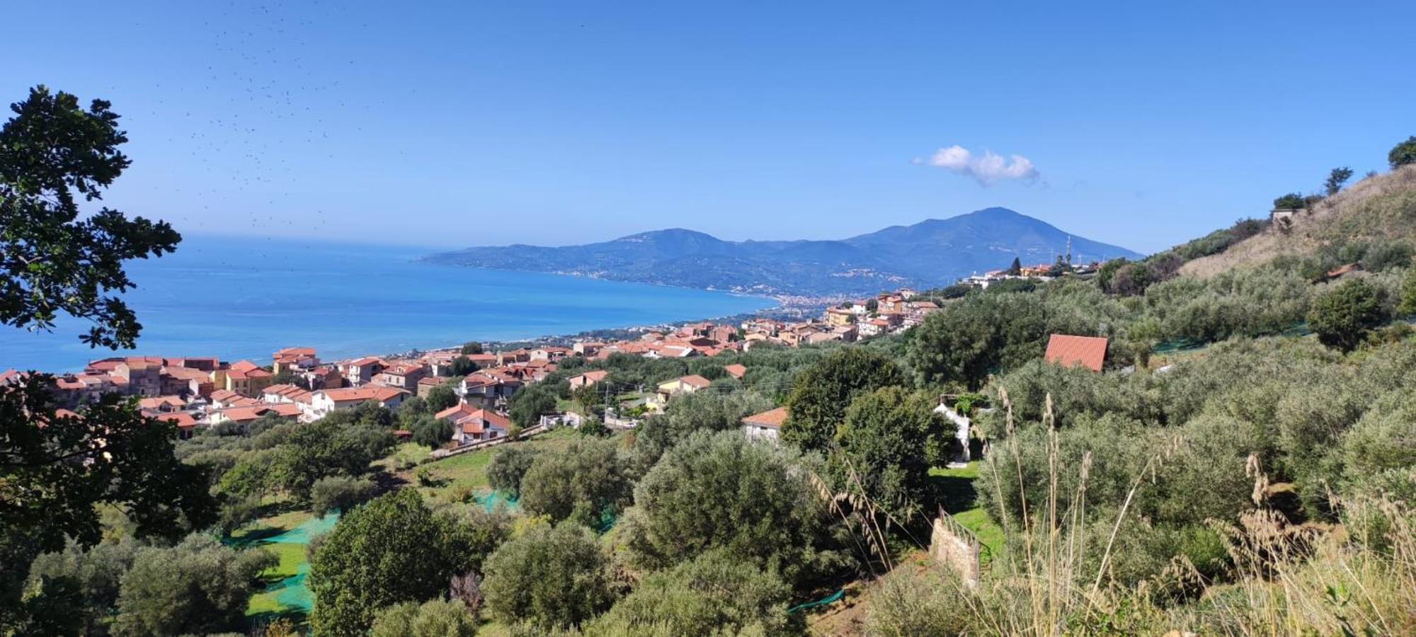 Agriturismo La Focazza Villa Ascea Exterior foto