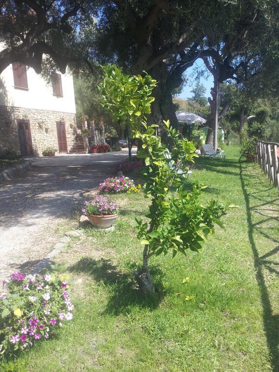Agriturismo La Focazza Villa Ascea Exterior foto